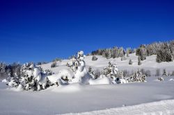 Alpe_Moos_Steinhauser_Riefensberg_Winter_101