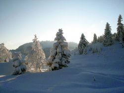 Alpe_Moos_Steinhauser_Riefensberg_Winter_41