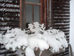 Alpe_Moos_Steinhauser_Riefensberg_Winter_78