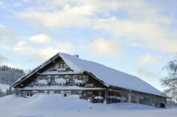 Alpe_Moos_Steinhauser_Riefensberg_Winter_95