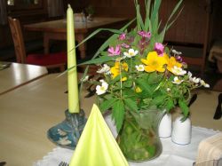 Alpe_Moos_Steinhauser_Riefensberg_Alpstueble_35